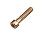 Phosphorous Bronze hex cap screw